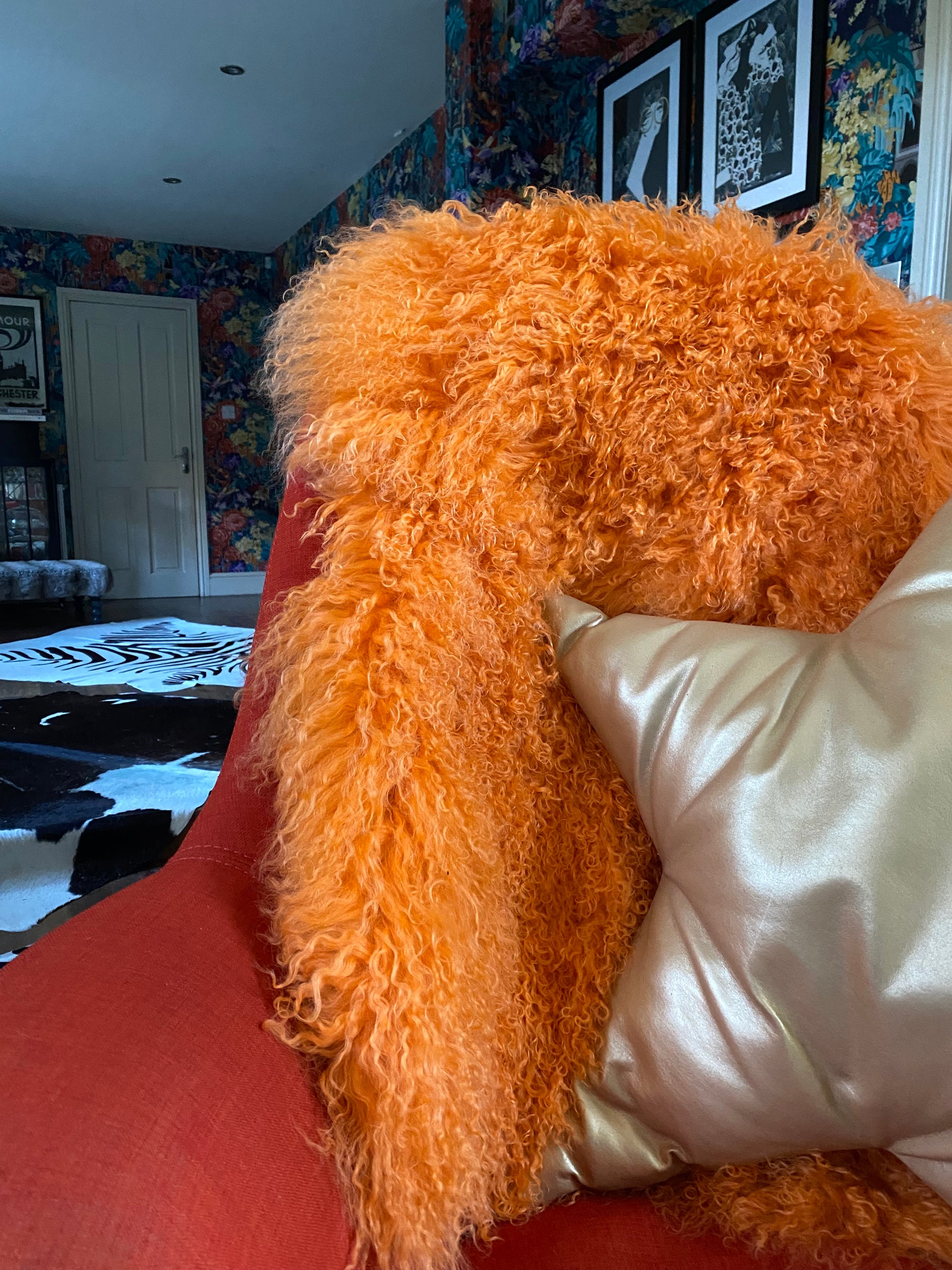 All Other Colour Benches