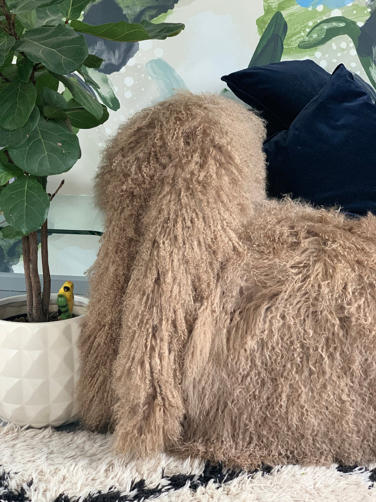 caramel taupe mongolian sheepskin throw 