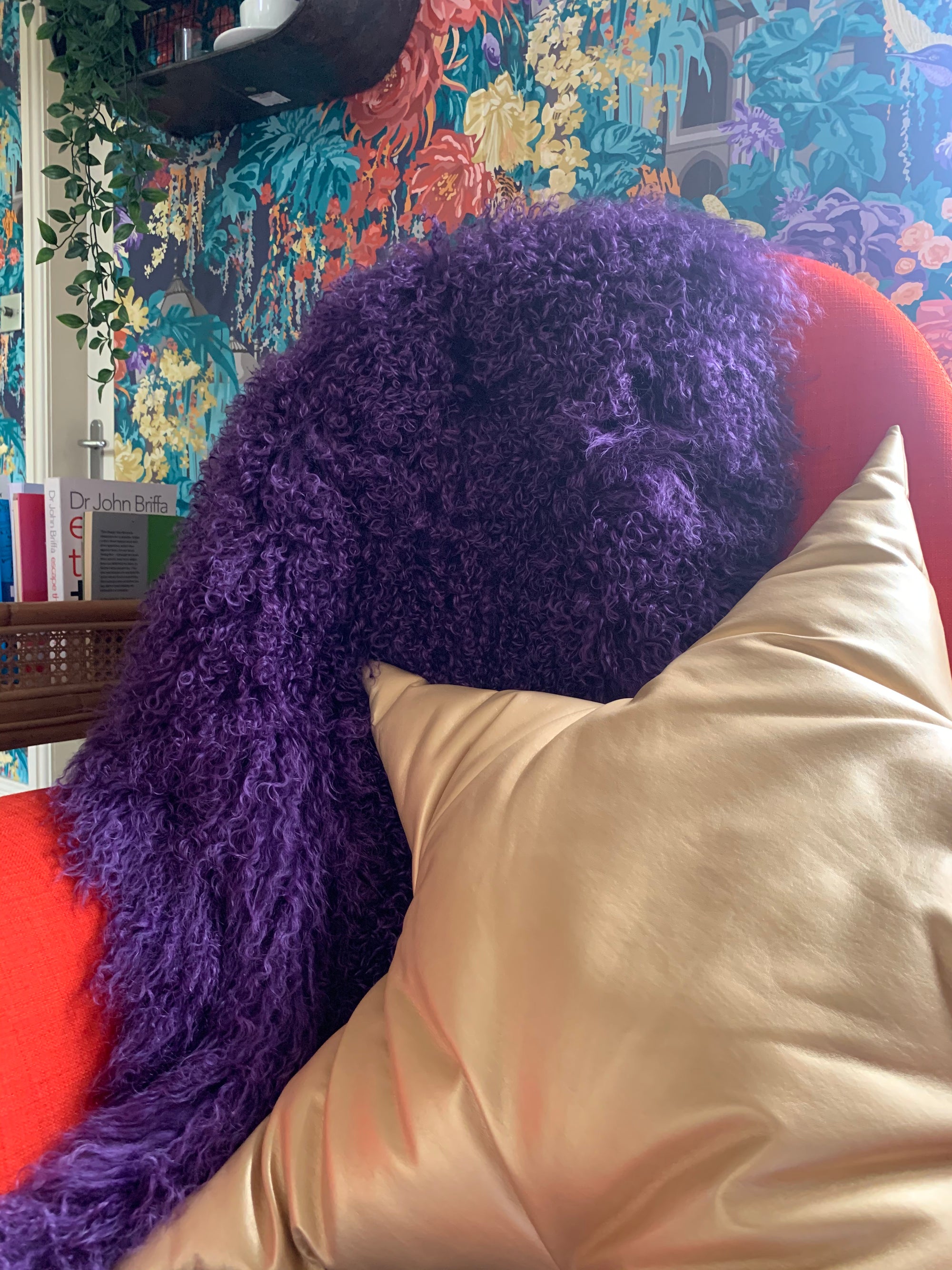 All Other Colour Benches