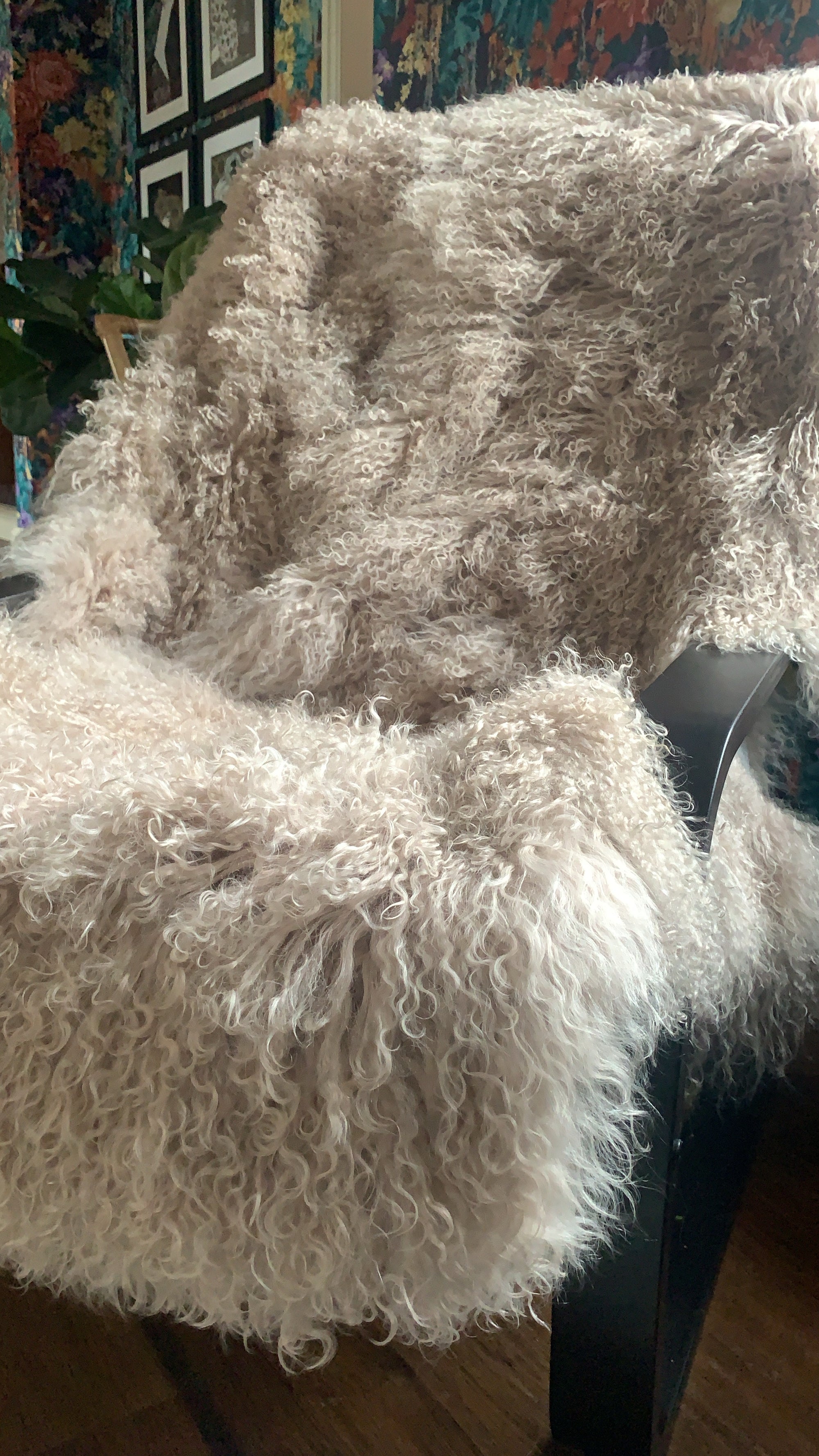 Oyster mongolian sheepskin throw rug sheet  Edit alt text