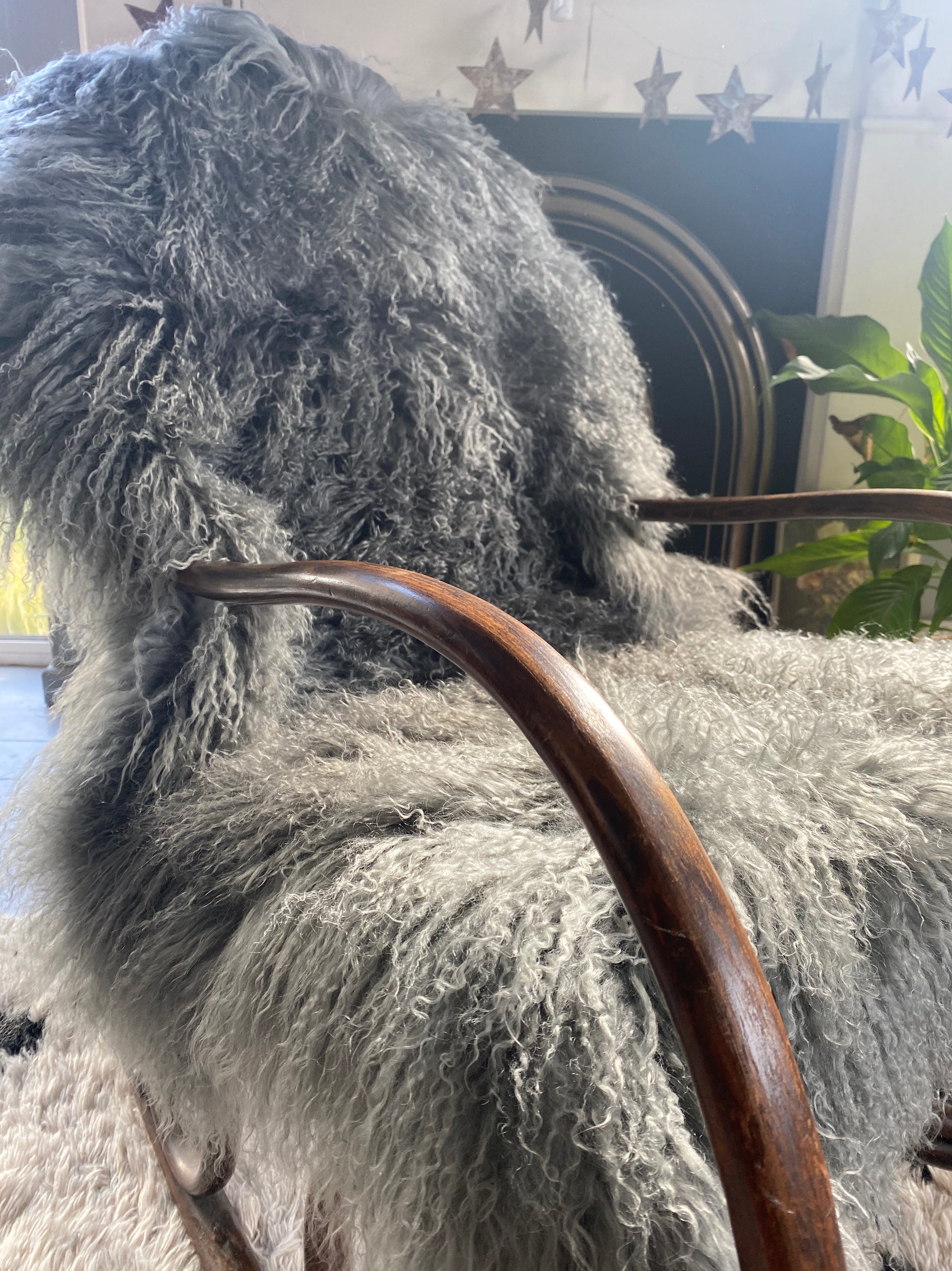 grey mongolian Sheepskin rug throw sheet