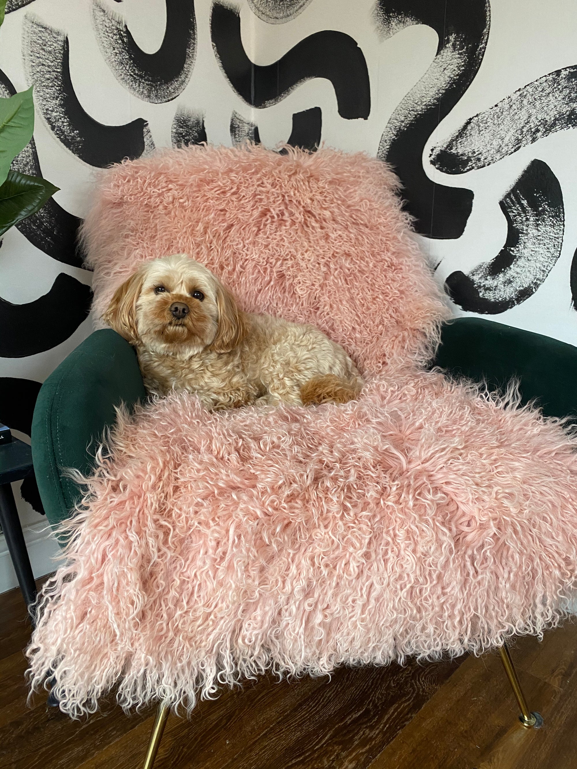 BLUSH pink mongolian sheepskin throw runner rug
