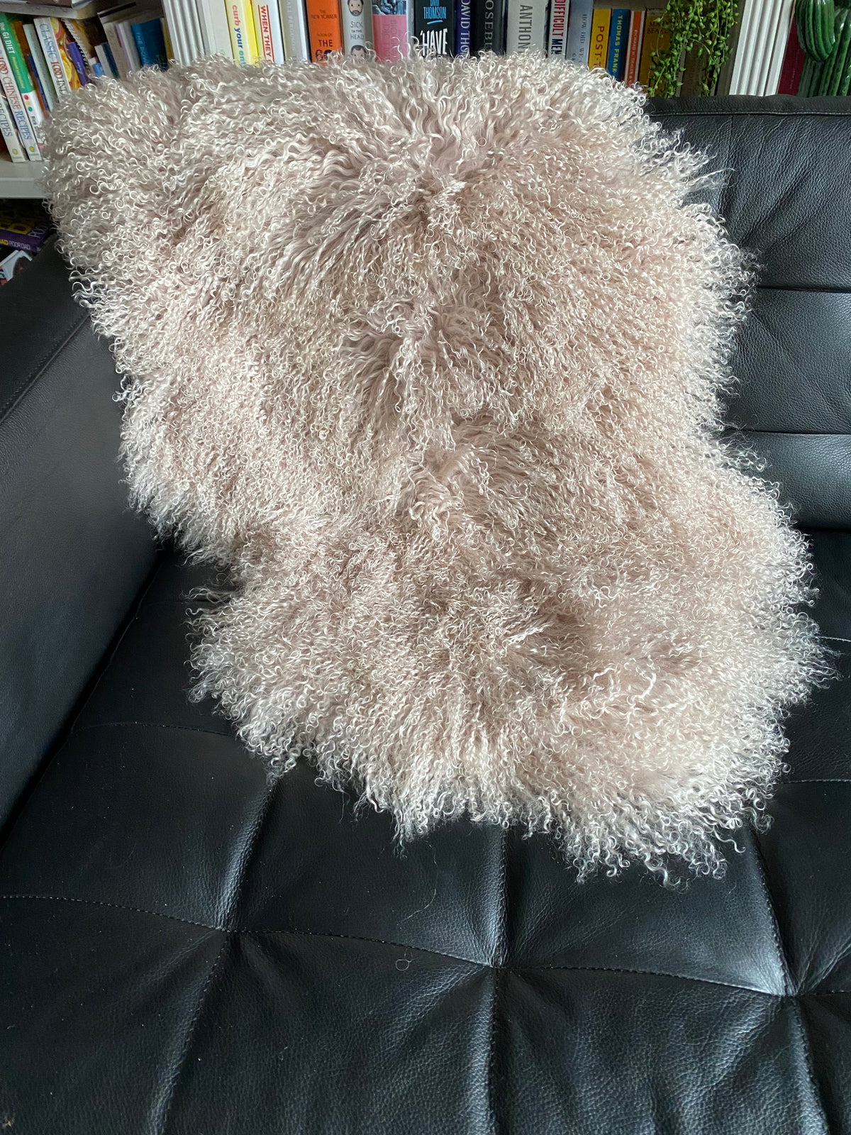 oyster sheepskin rug throw