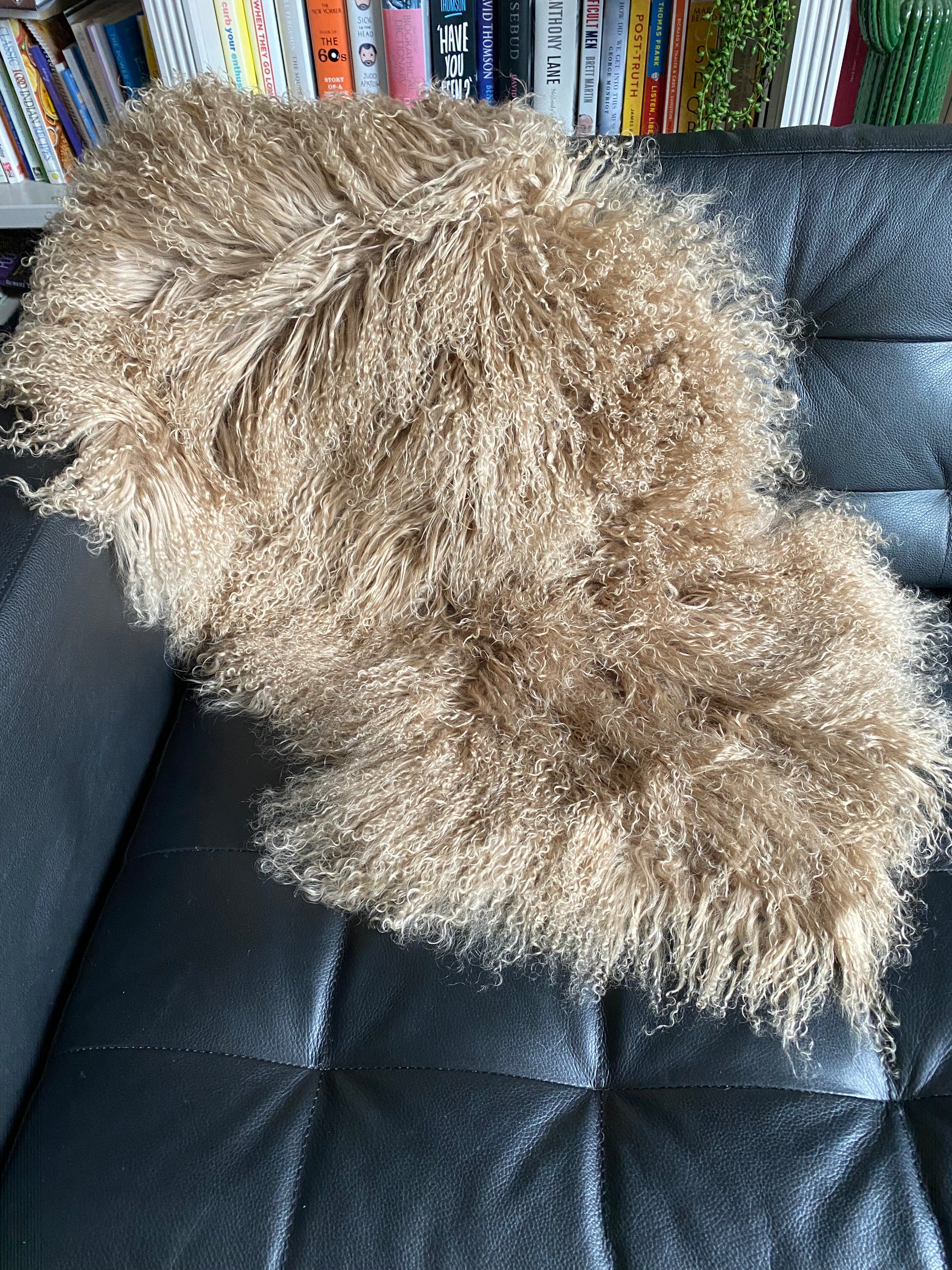 caramel Mongolian Sheepskin double rug